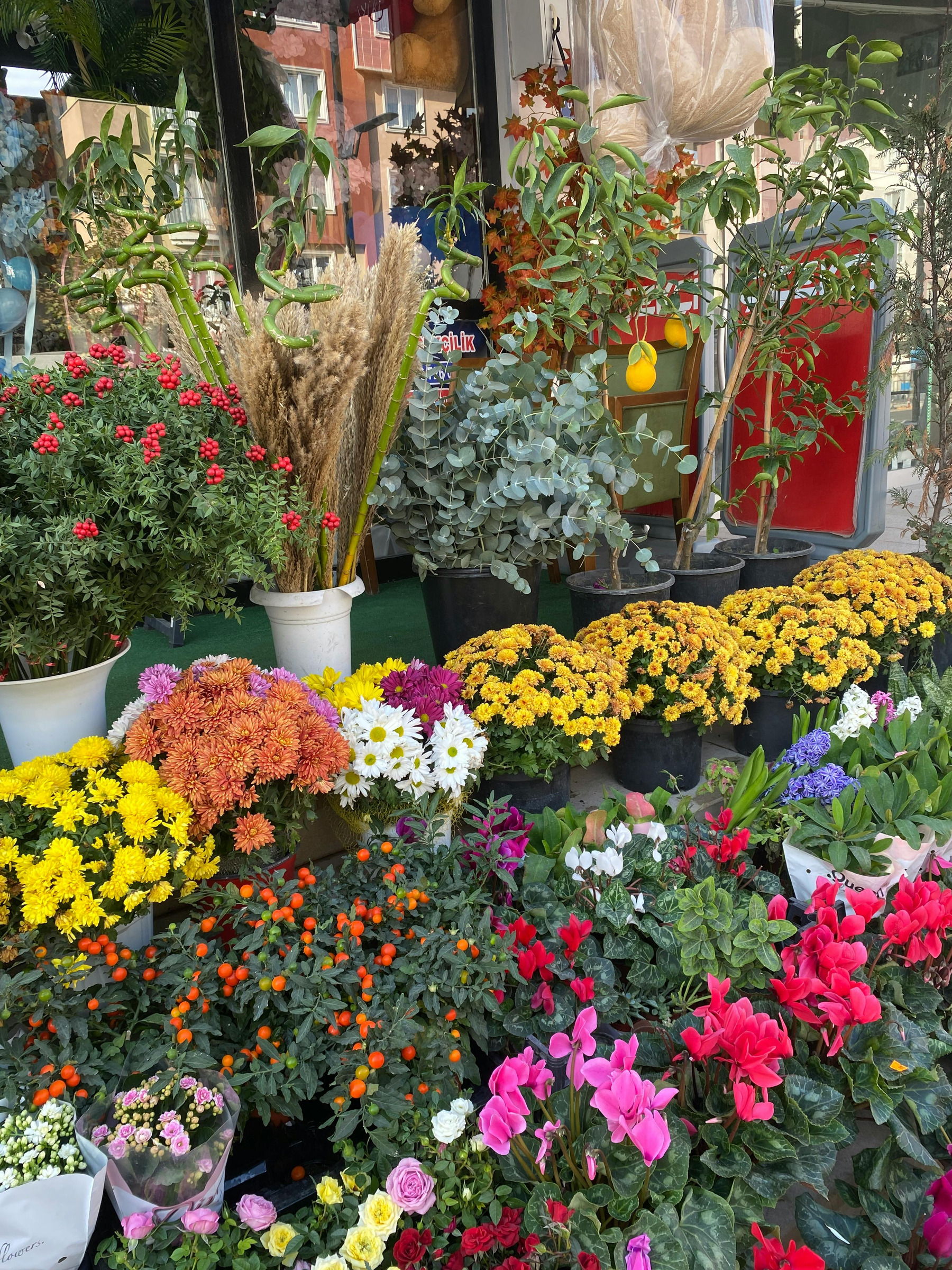 お花屋さんの店頭